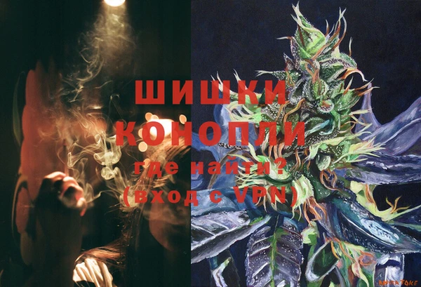 шишки Алексин