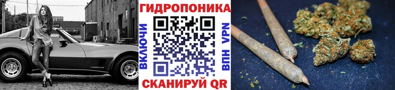 где продают   Железногорск-Илимский  Бошки марихуана ГИДРОПОН 